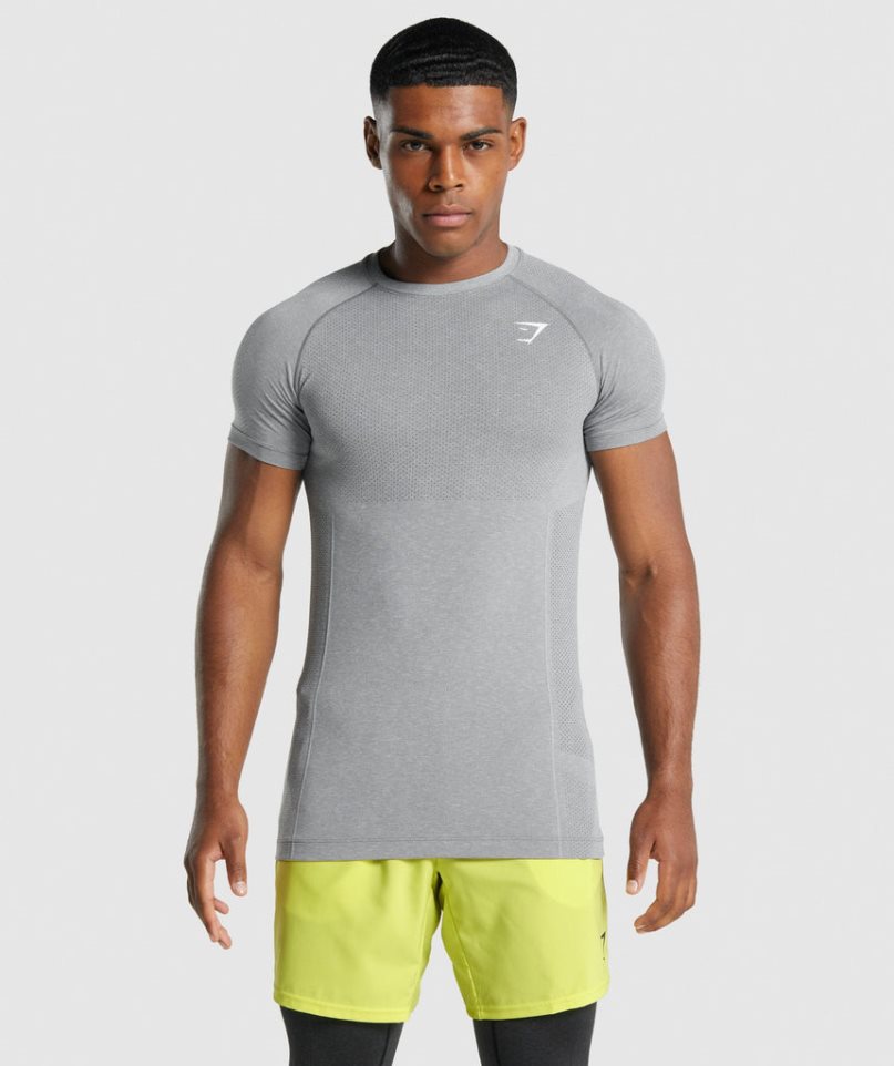 Gymshark Vital Light Seamless T-shirts Herren Grau | AT-28-IURJ