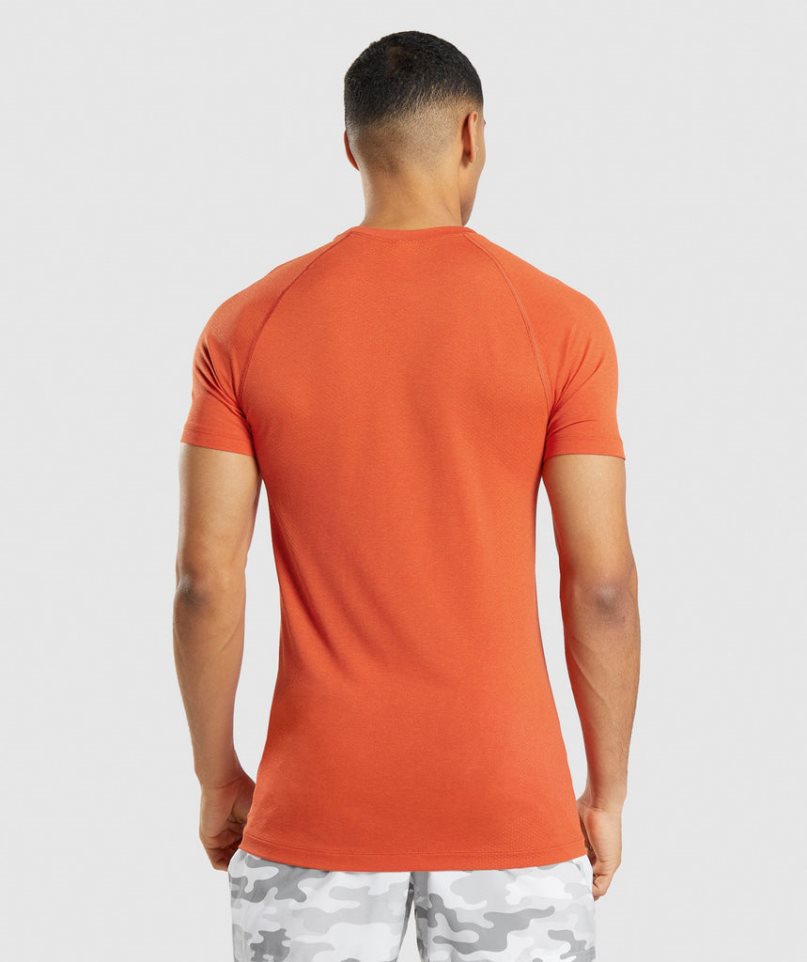 Gymshark Vital Light Seamless T-shirts Herren Orange | AT-85-DLRM