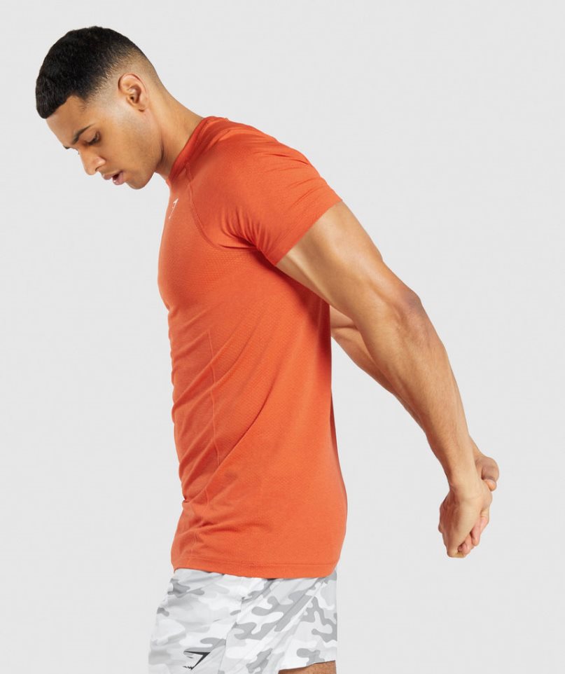 Gymshark Vital Light Seamless T-shirts Herren Orange | AT-85-DLRM