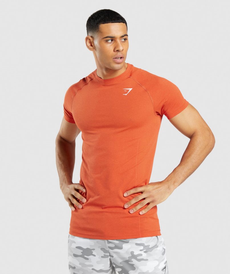 Gymshark Vital Light Seamless T-shirts Herren Orange | AT-85-DLRM