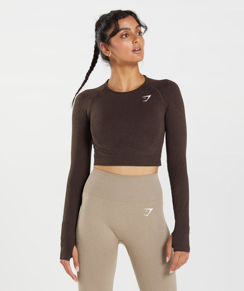 Gymshark Vital Seamless 2.0 Kurz Geschnittene Oberteile Damen Schokolade | AT-15-BXZS