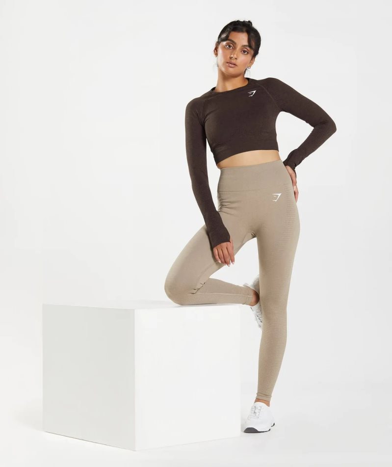 Gymshark Vital Seamless 2.0 Kurz Geschnittene Oberteile Damen Schokolade | AT-15-BXZS