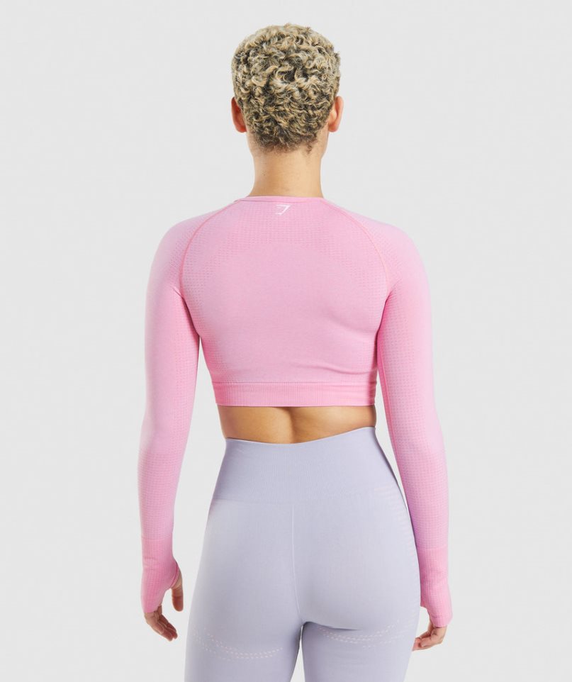 Gymshark Vital Seamless 2.0 Kurz Geschnittene Oberteile Damen Rosa | AT-31-UTQG