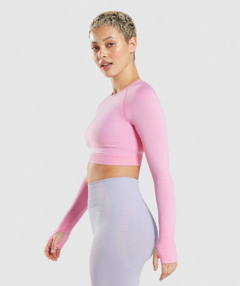 Gymshark Vital Seamless 2.0 Kurz Geschnittene Oberteile Damen Rosa | AT-31-UTQG