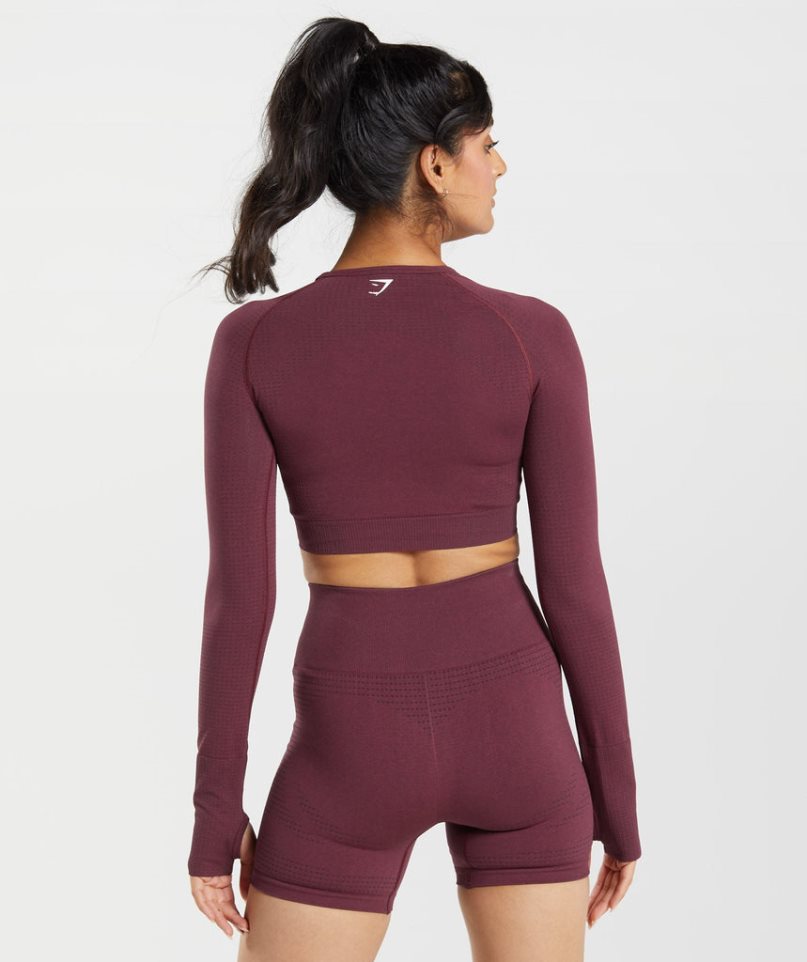 Gymshark Vital Seamless 2.0 Kurz Geschnittene Oberteile Damen Bordeaux | AT-50-XFAN