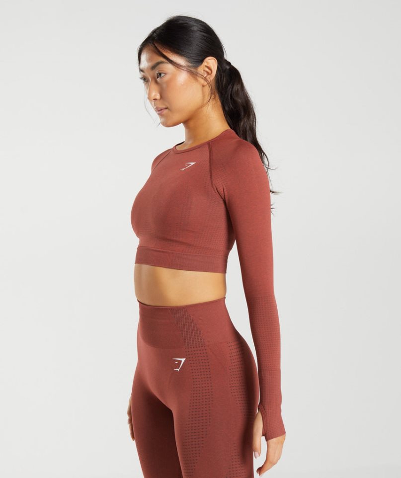 Gymshark Vital Seamless 2.0 Kurz Geschnittene Oberteile Damen Braun | AT-78-JKPB