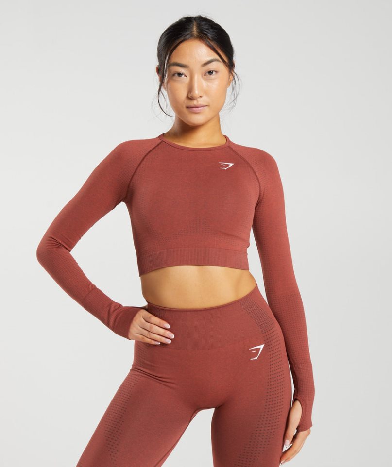 Gymshark Vital Seamless 2.0 Kurz Geschnittene Oberteile Damen Braun | AT-78-JKPB