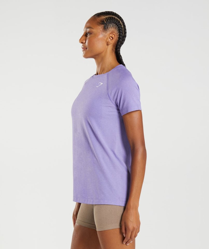 Gymshark Vital Seamless 2.0 Light T-shirts Damen Lila | AT-47-FCTS