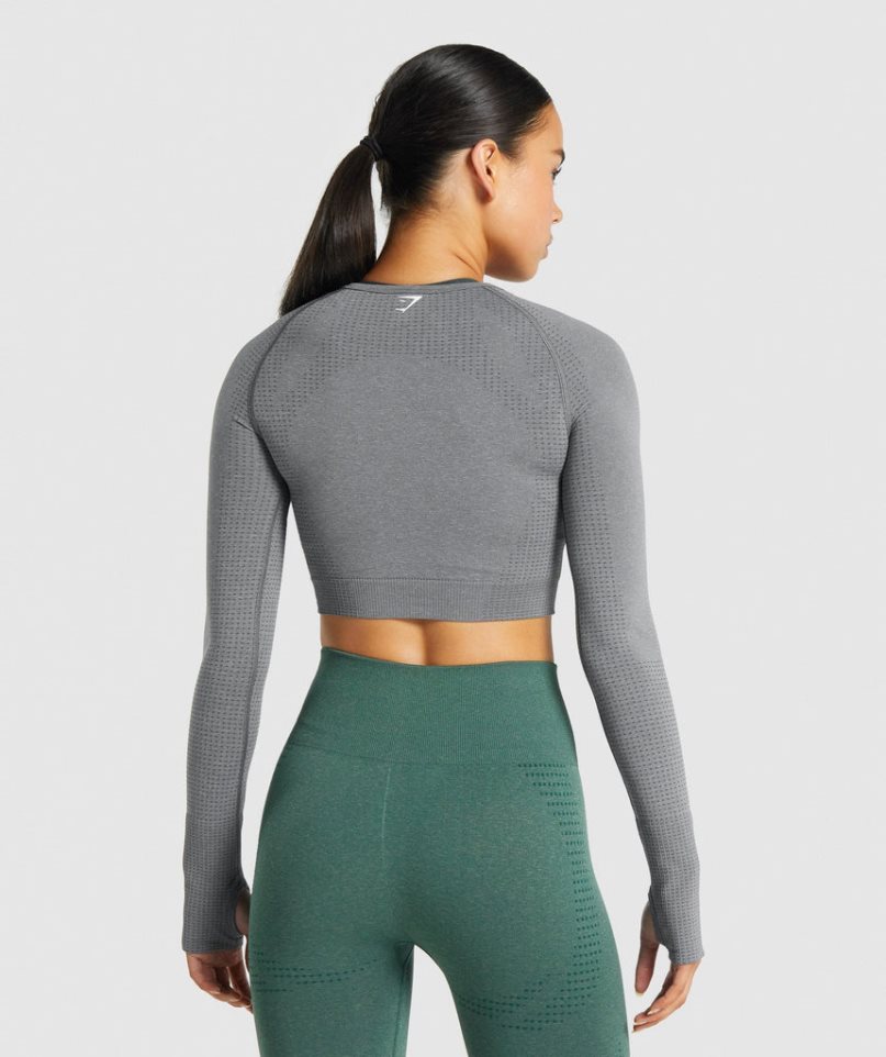 Gymshark Vital Seamless 2.0 Long Sleeve Kurz Geschnittene Oberteile Damen Grau | AT-05-BJTP