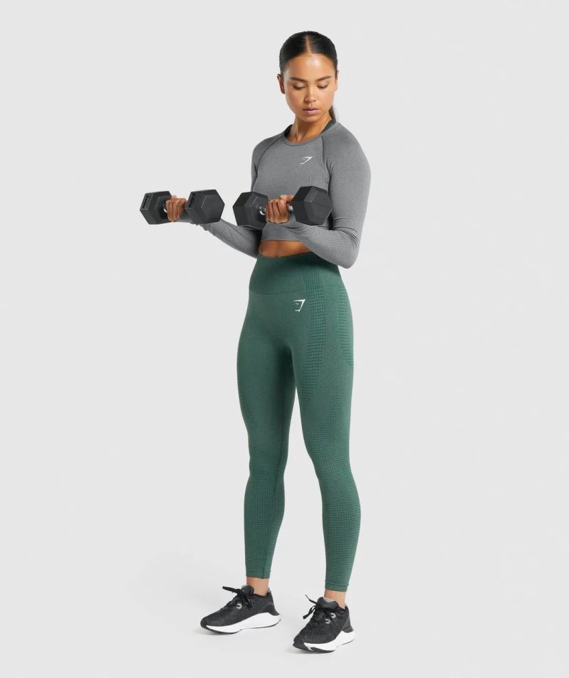 Gymshark Vital Seamless 2.0 Long Sleeve Kurz Geschnittene Oberteile Damen Grau | AT-05-BJTP