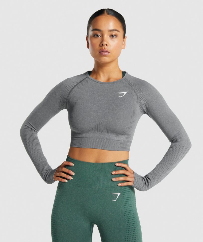 Gymshark Vital Seamless 2.0 Long Sleeve Kurz Geschnittene Oberteile Damen Grau | AT-05-BJTP