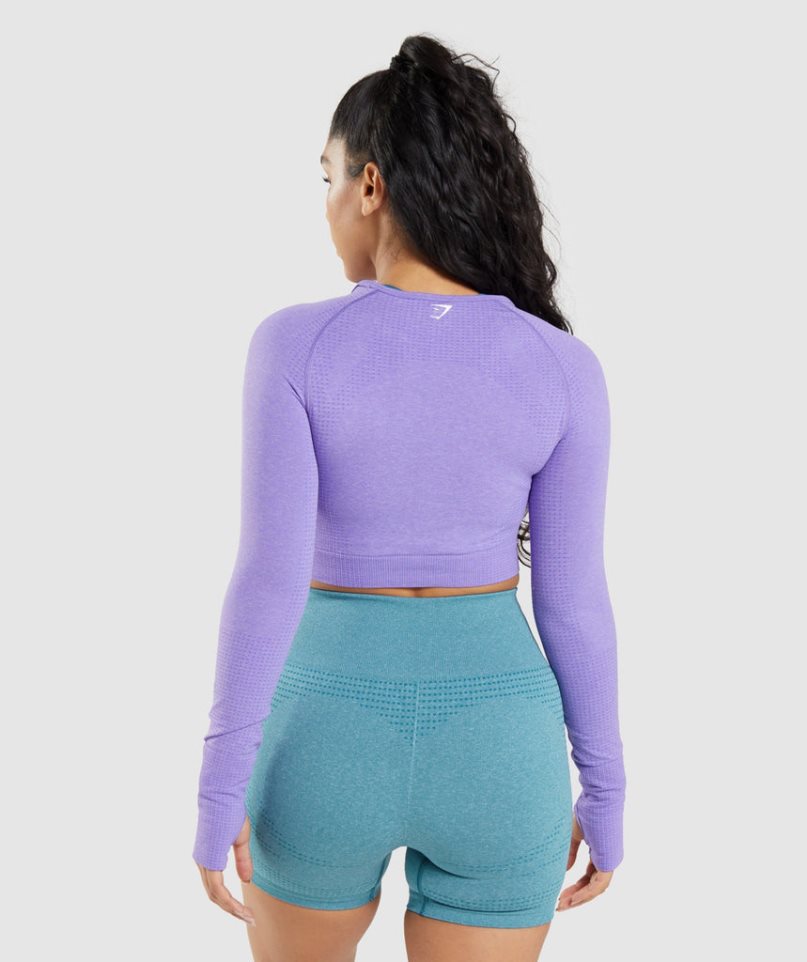 Gymshark Vital Seamless 2.0 Long Sleeve Kurz Geschnittene Oberteile Damen Lavendel | AT-21-VUEK