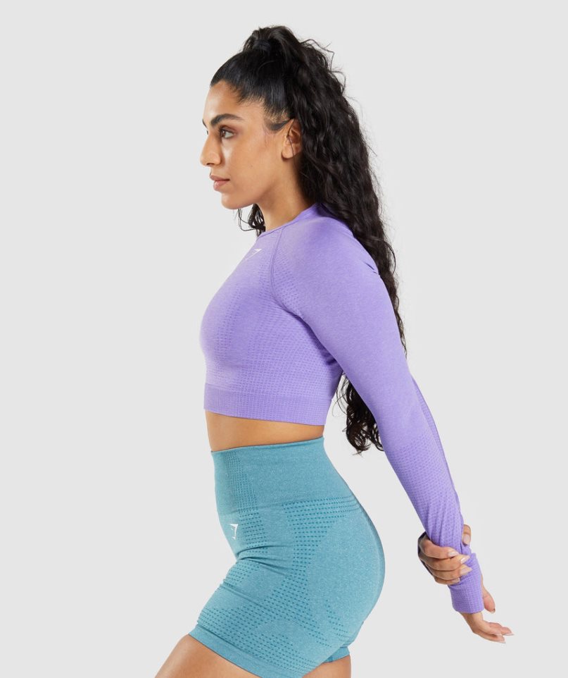 Gymshark Vital Seamless 2.0 Long Sleeve Kurz Geschnittene Oberteile Damen Lavendel | AT-21-VUEK