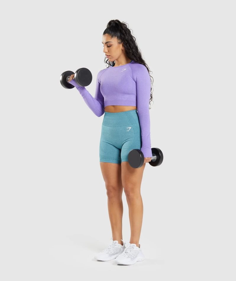 Gymshark Vital Seamless 2.0 Long Sleeve Kurz Geschnittene Oberteile Damen Lavendel | AT-21-VUEK