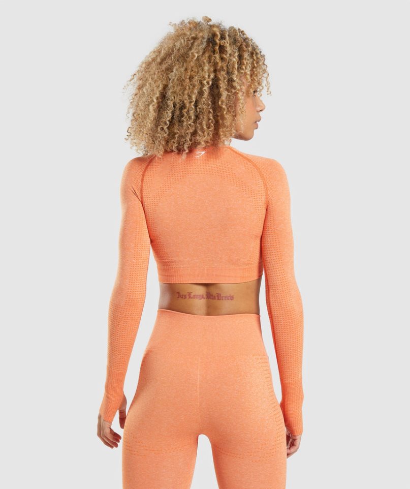 Gymshark Vital Seamless 2.0 Long Sleeve Kurz Geschnittene Oberteile Damen Orange | AT-84-KJWL