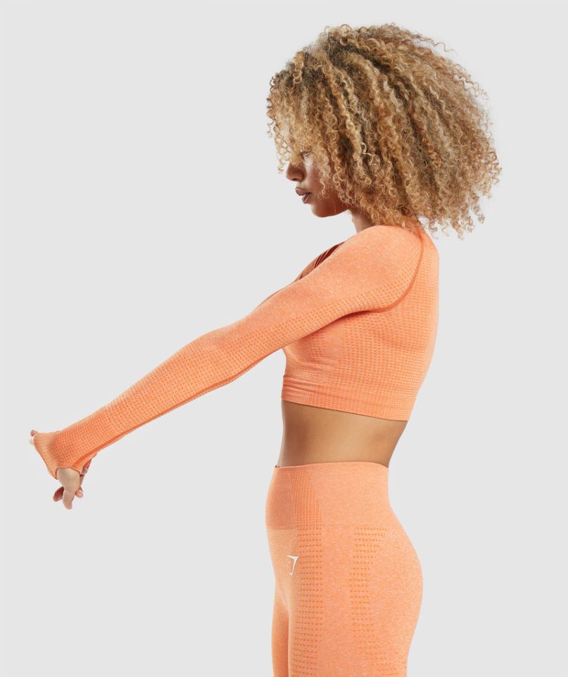 Gymshark Vital Seamless 2.0 Long Sleeve Kurz Geschnittene Oberteile Damen Orange | AT-84-KJWL