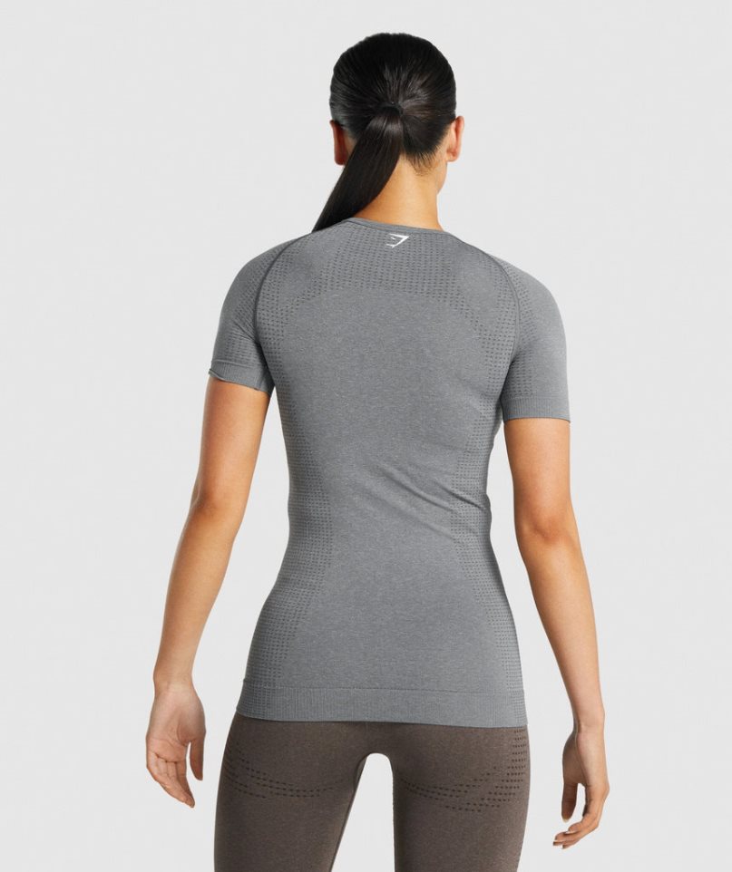 Gymshark Vital Seamless 2.0 T-shirts Damen Grau | AT-35-PRVZ