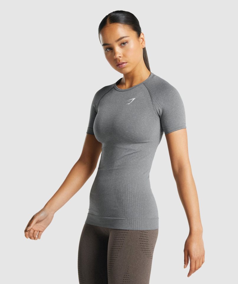 Gymshark Vital Seamless 2.0 T-shirts Damen Grau | AT-35-PRVZ