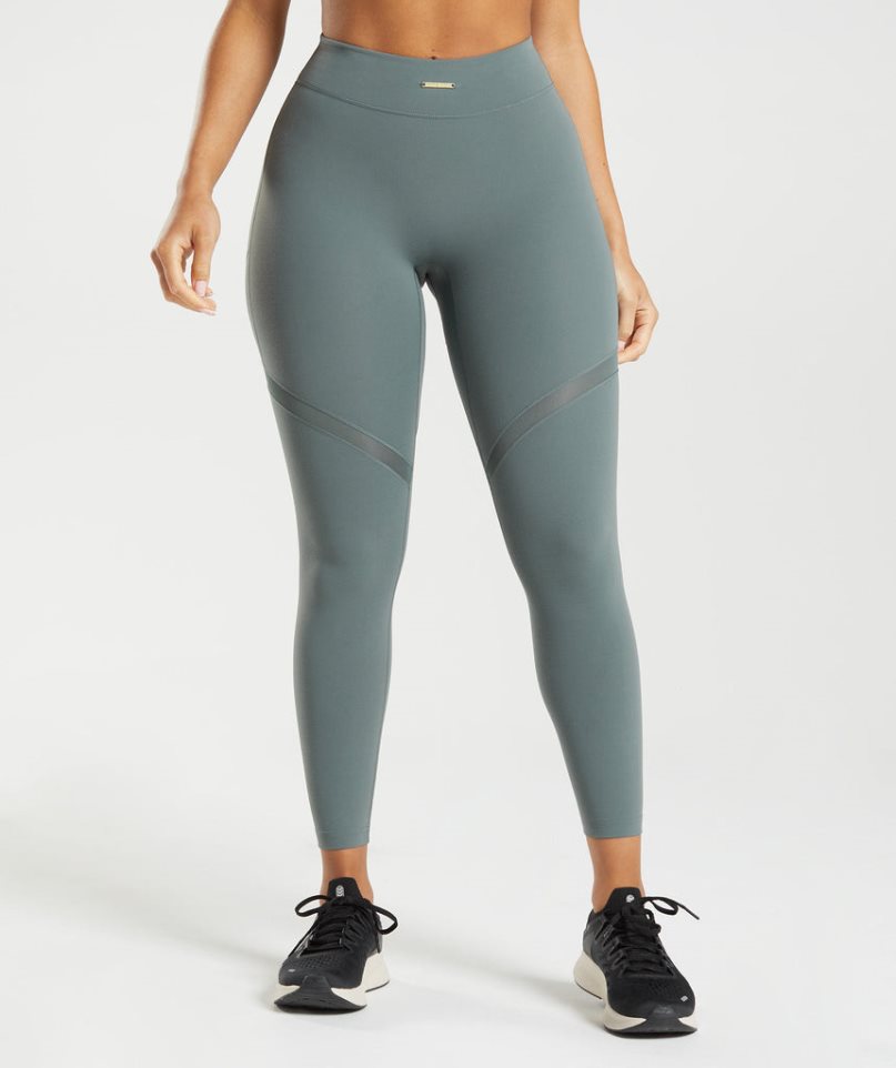 Gymshark Whitney Mesh Leggings Damen Grau | AT-74-ELMY