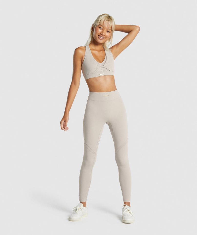 Gymshark Whitney Mesh Leggings Damen Hellgrau | AT-84-IYTW