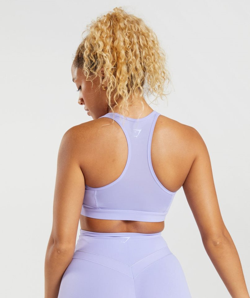 Gymshark Whitney Mesh Sport Bh Damen Lila | AT-40-IACK